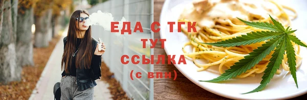 хмурый Аркадак