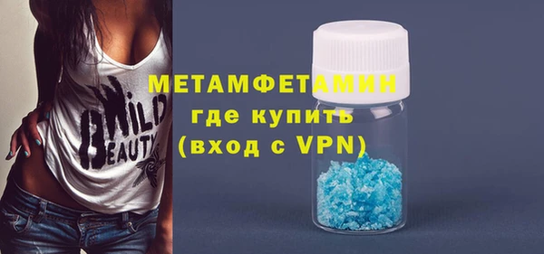 хмурый Аркадак