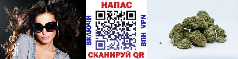 закладки Себеж Каннабис план